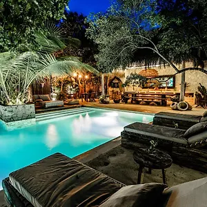 Hotel Vida