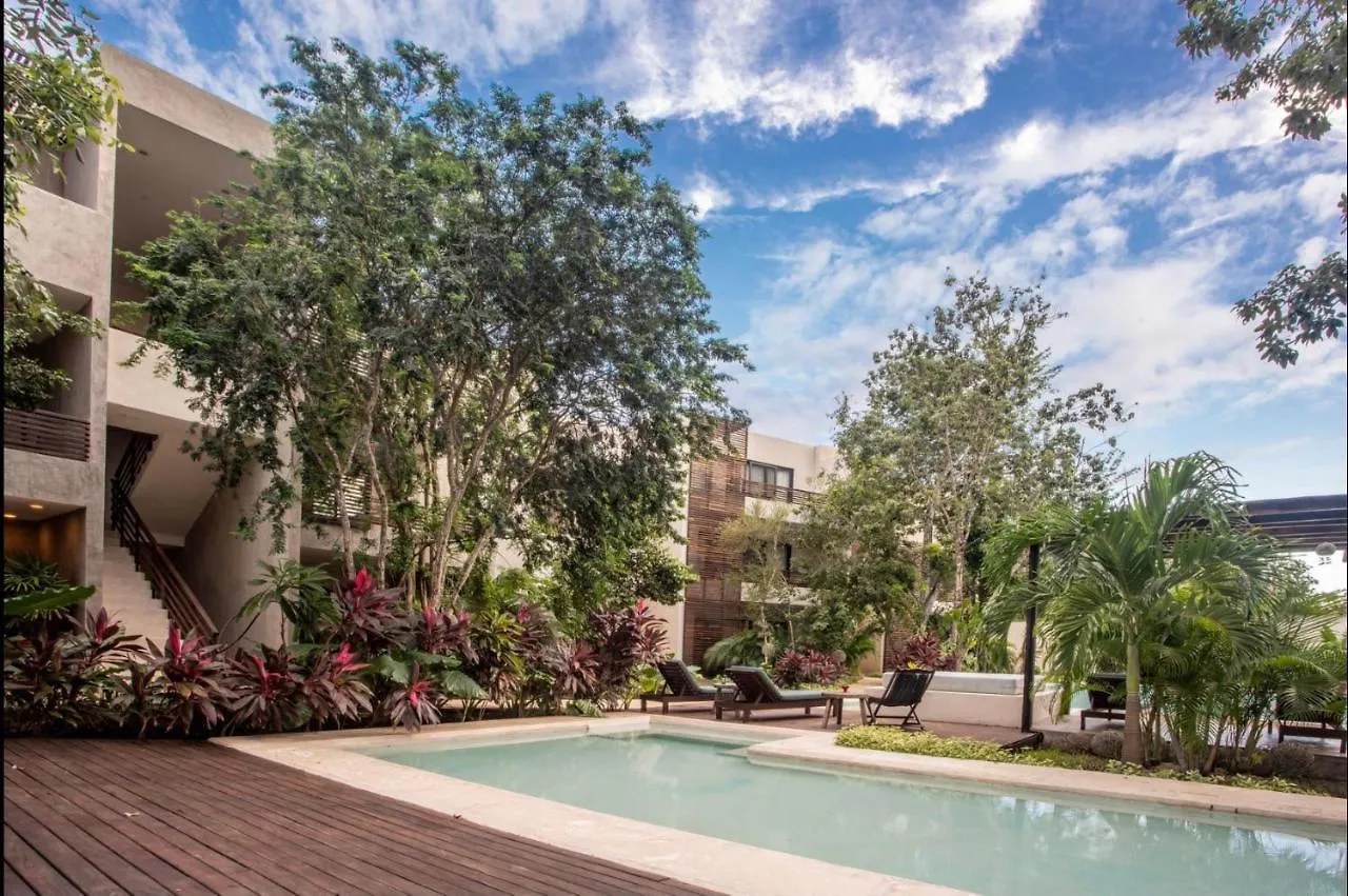Panacea Condo تولوم 4*,
